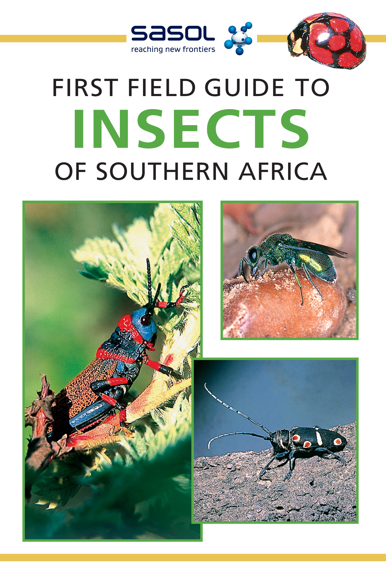 Sasol First Field Guide to Insects of Southern Africa by Weaving, Alan